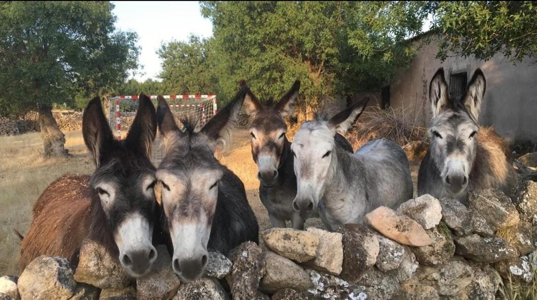 El Rincon De Piron Villa Losana de Piron Dış mekan fotoğraf